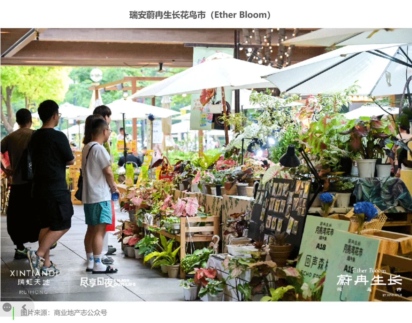 可持续品牌|瑞安房地产,让生活总有新天地