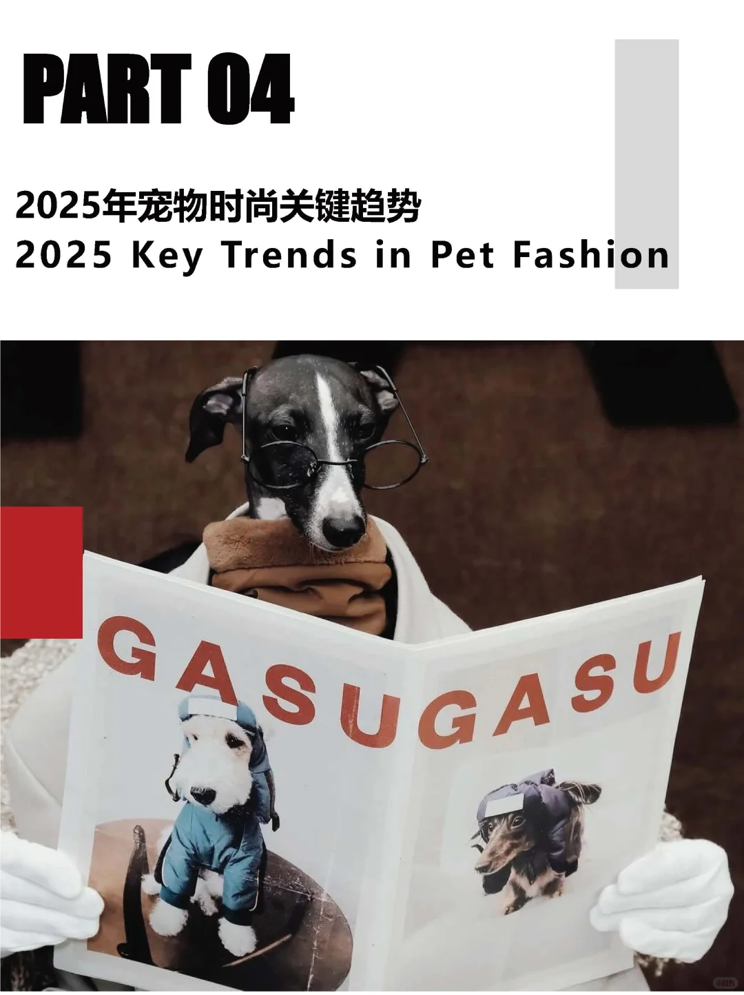 2025/26宠物经济趋势白皮书（下）