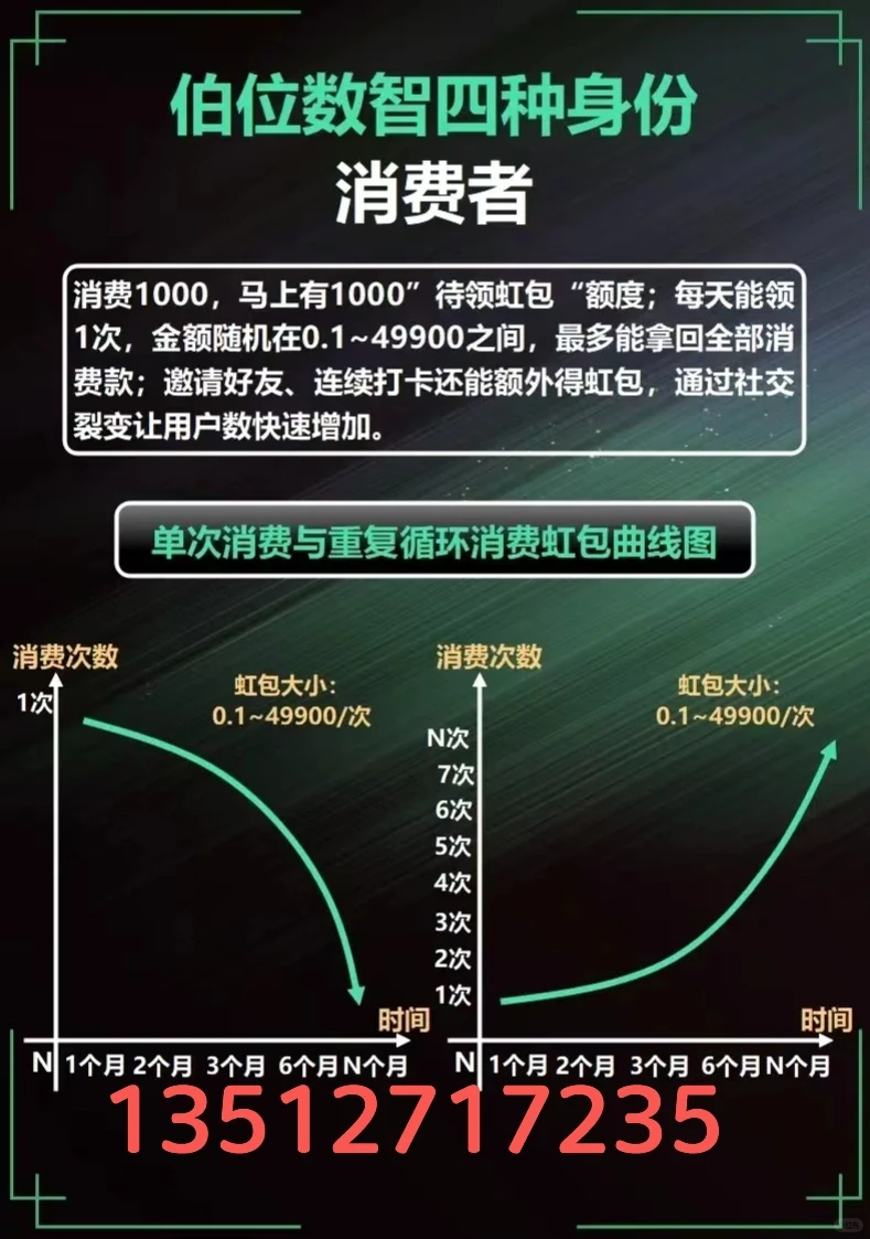 伯拉数字商业模式系统开发