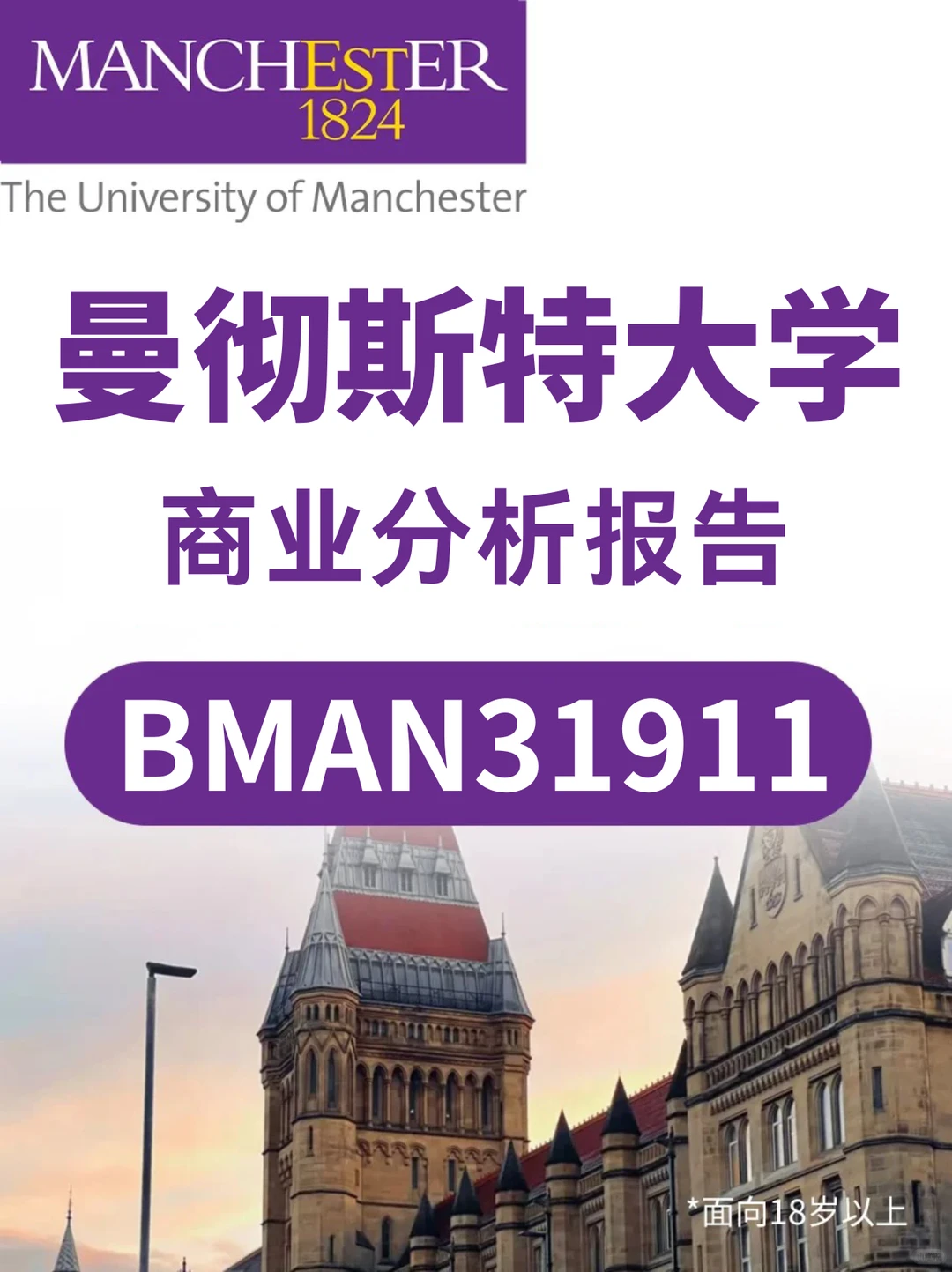 曼大BMAN31911商业报告丨1V1管理冲刺DDL