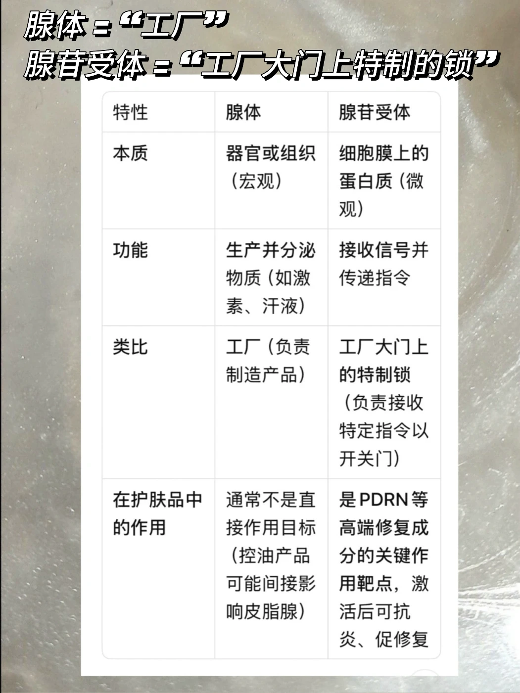 国货护肤为例,讲解PDRN到底是什么