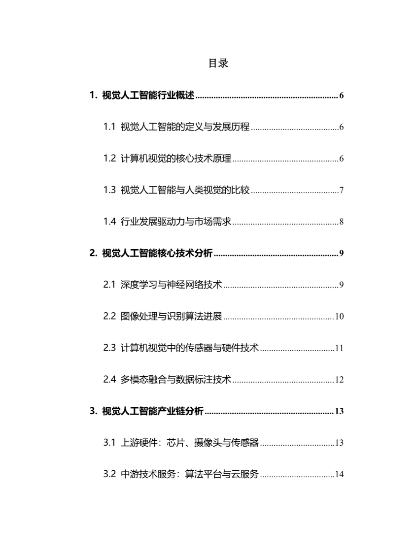 2025年视觉人工智能行业现状及趋势分析报告