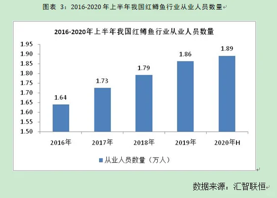 红鳟鱼行业市场研究与发展前景预测报告