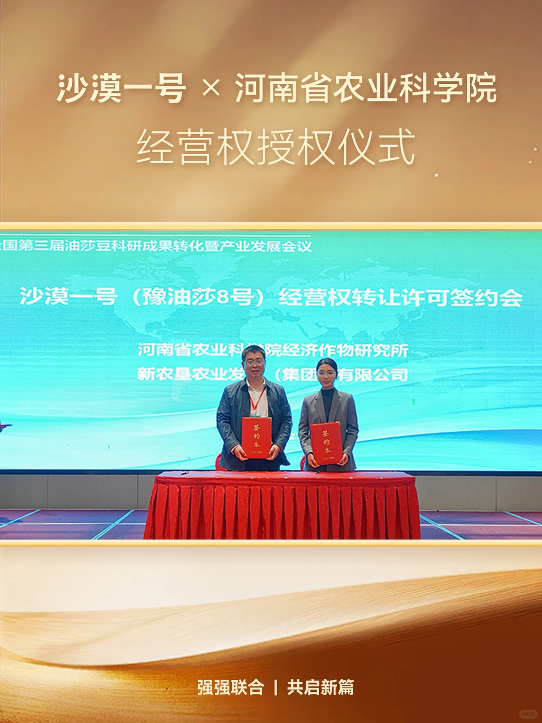 官宣！沙漠一号✖️河南省农科院共育虎坚果