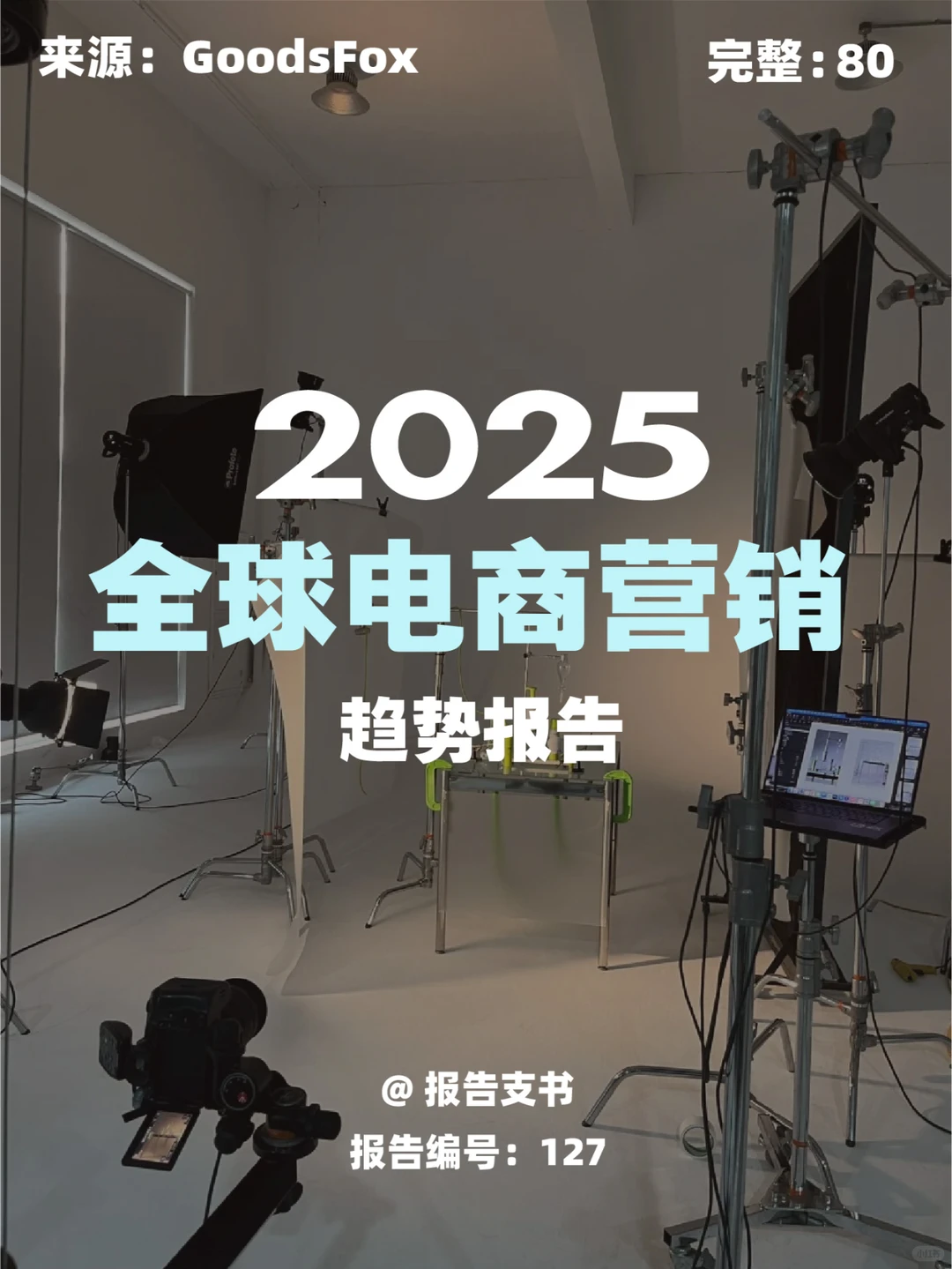 【127】2025年全球电商营销趋势报告