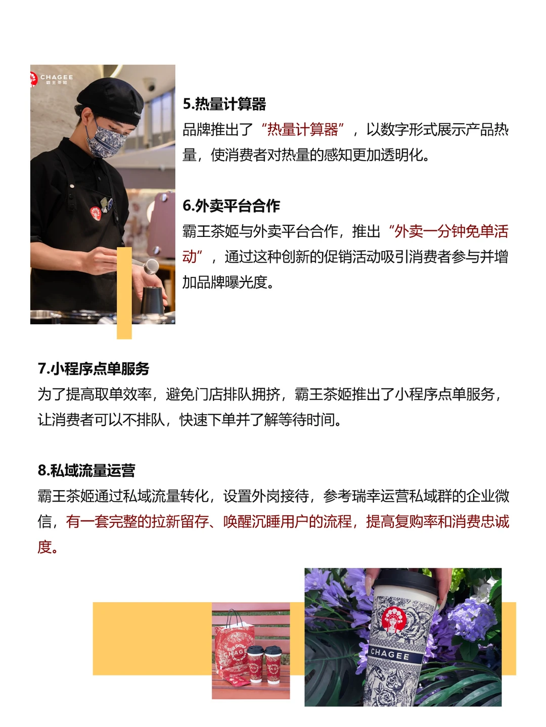 霸王茶姬的数字化营销策略(代写BP)