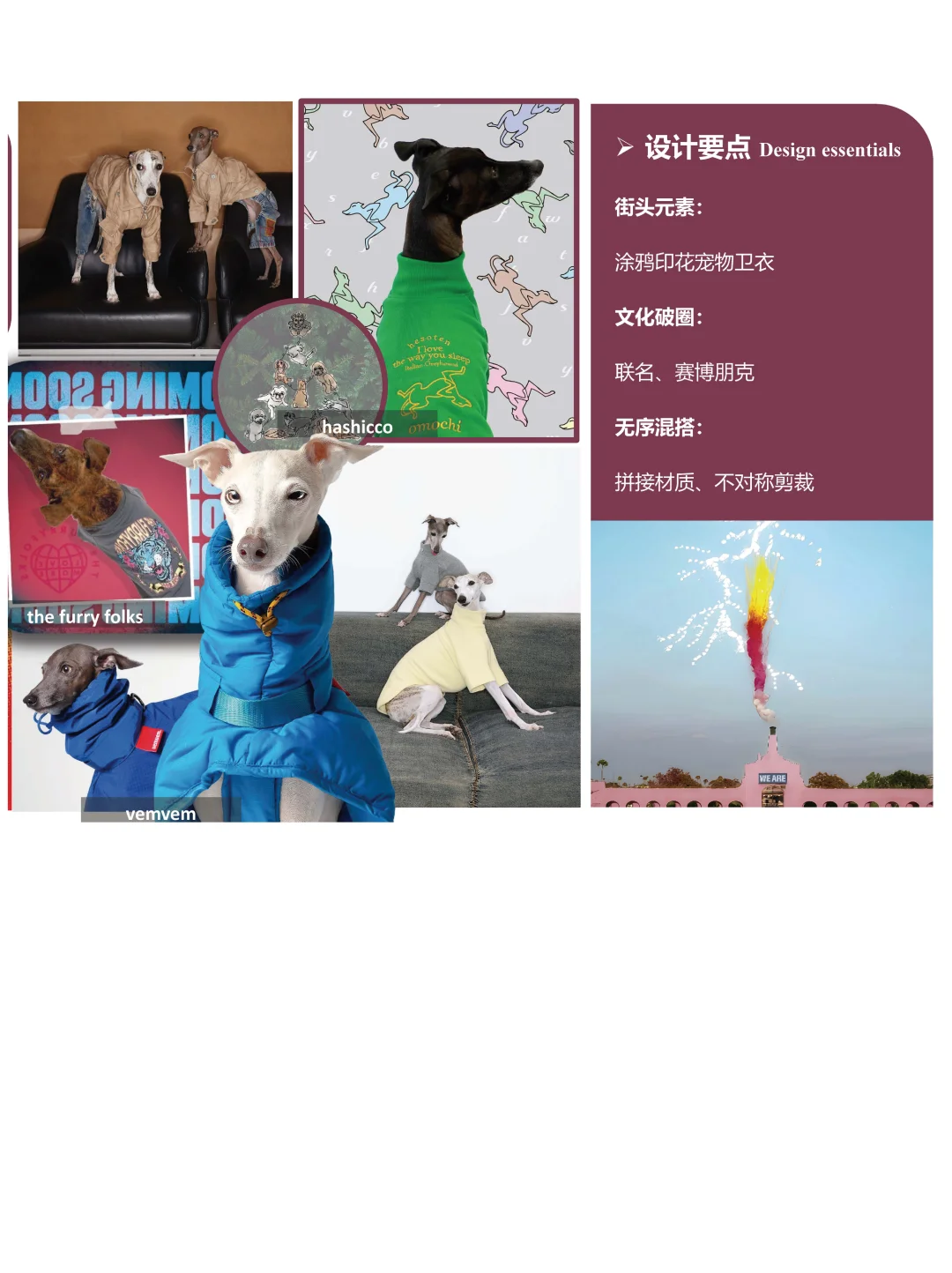 2025/26宠物经济趋势白皮书（下）