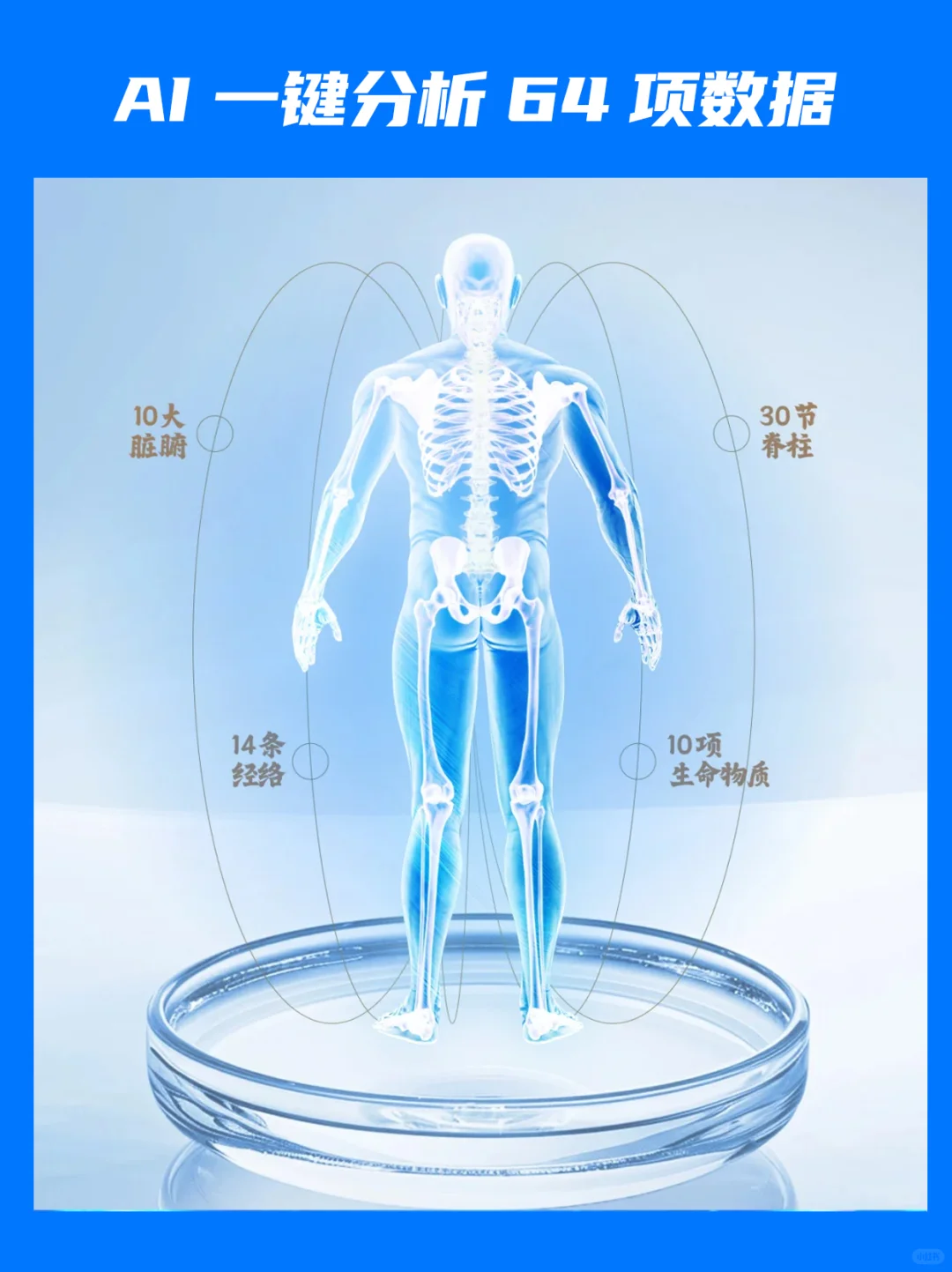 做养生用人工智能数智健康服务系统