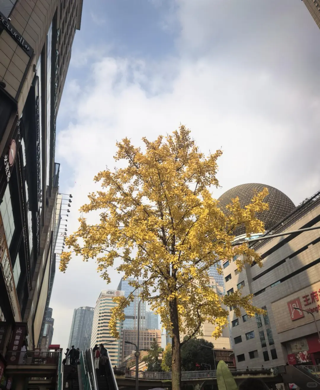 品牌在地化营销