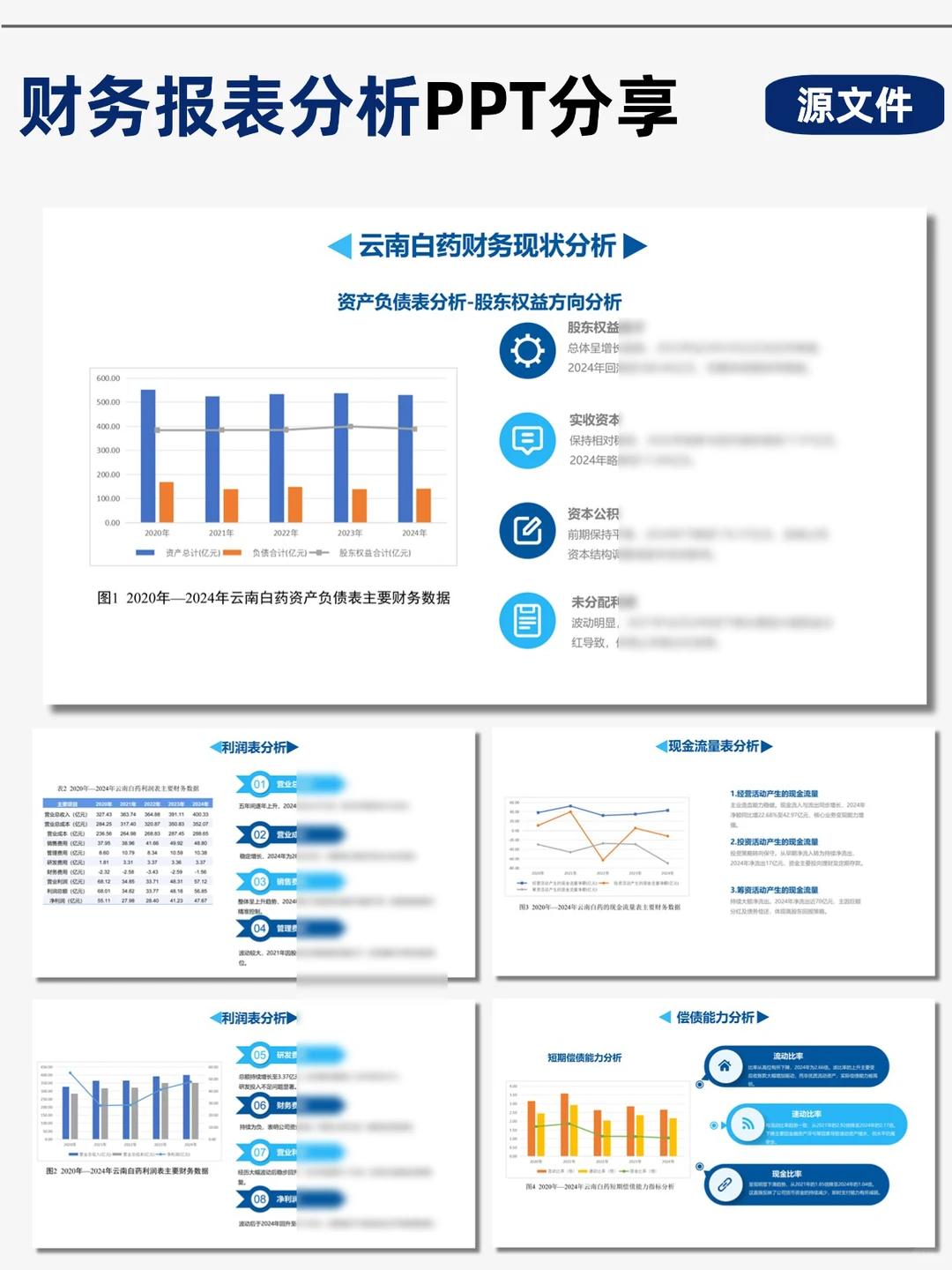云南白药财务分析PPT