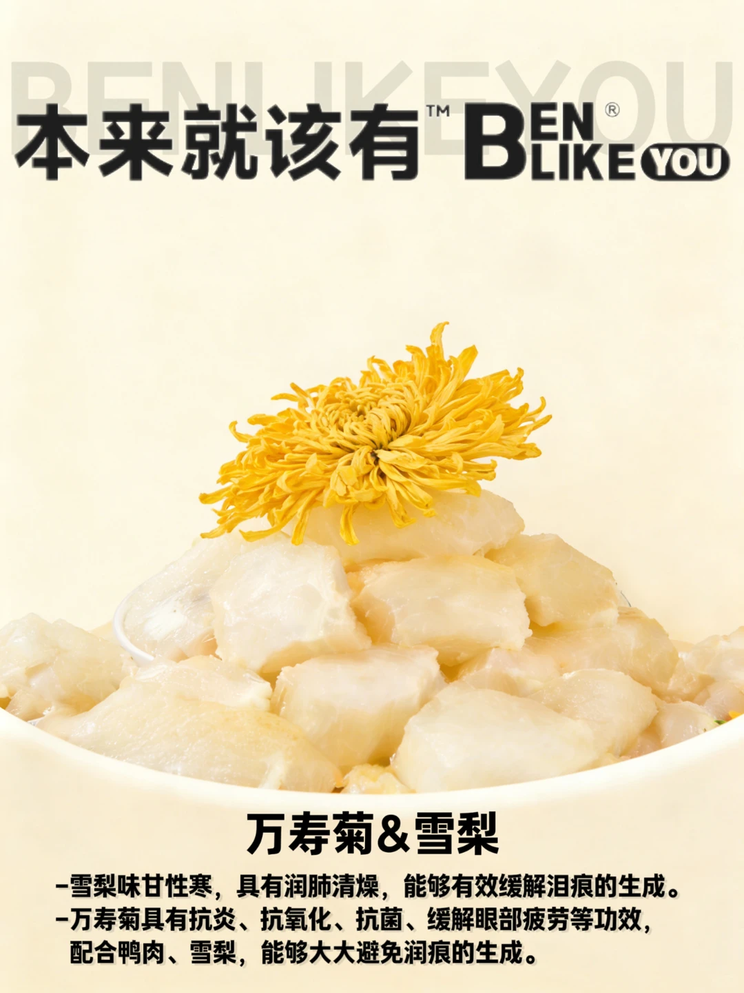 泪痕管控?清热降火?选这款犬粮就对啦!