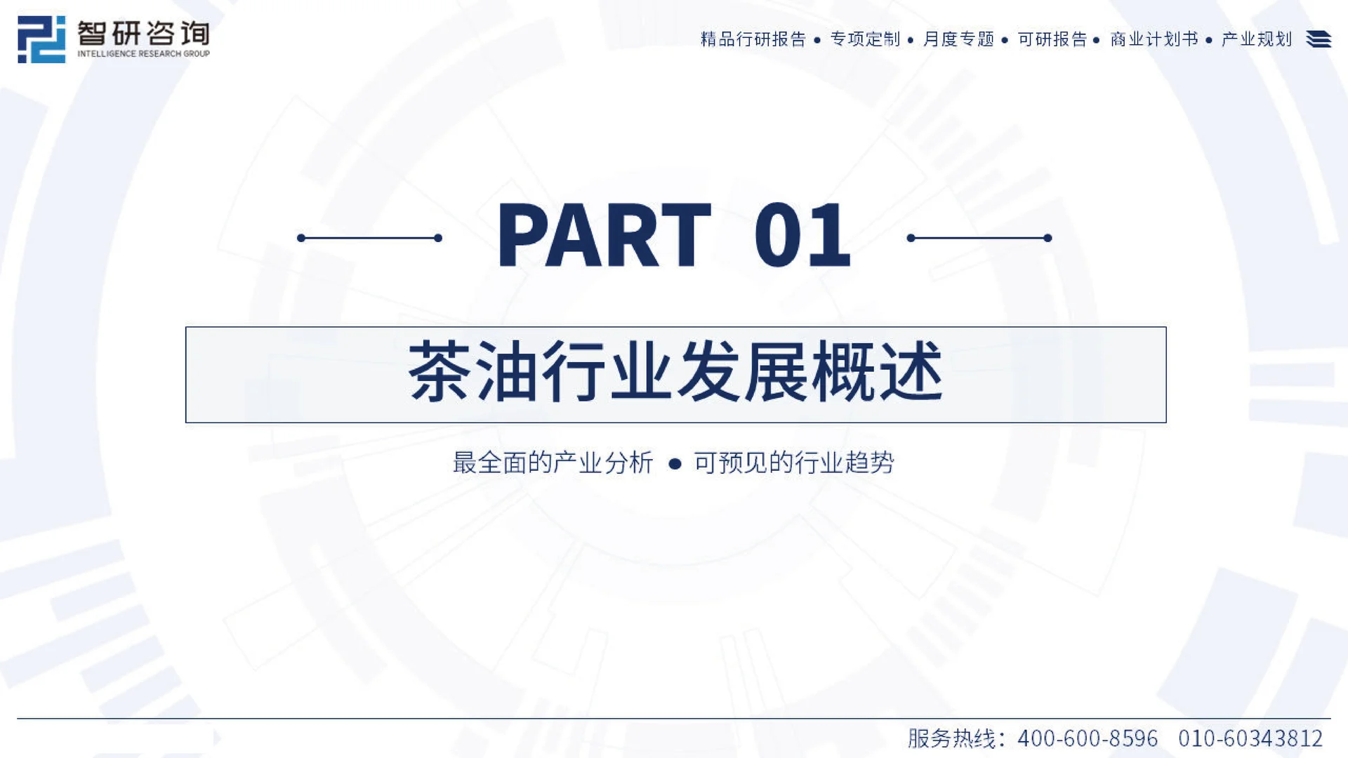 2023中国茶油产业现状,山茶油发展研究报告