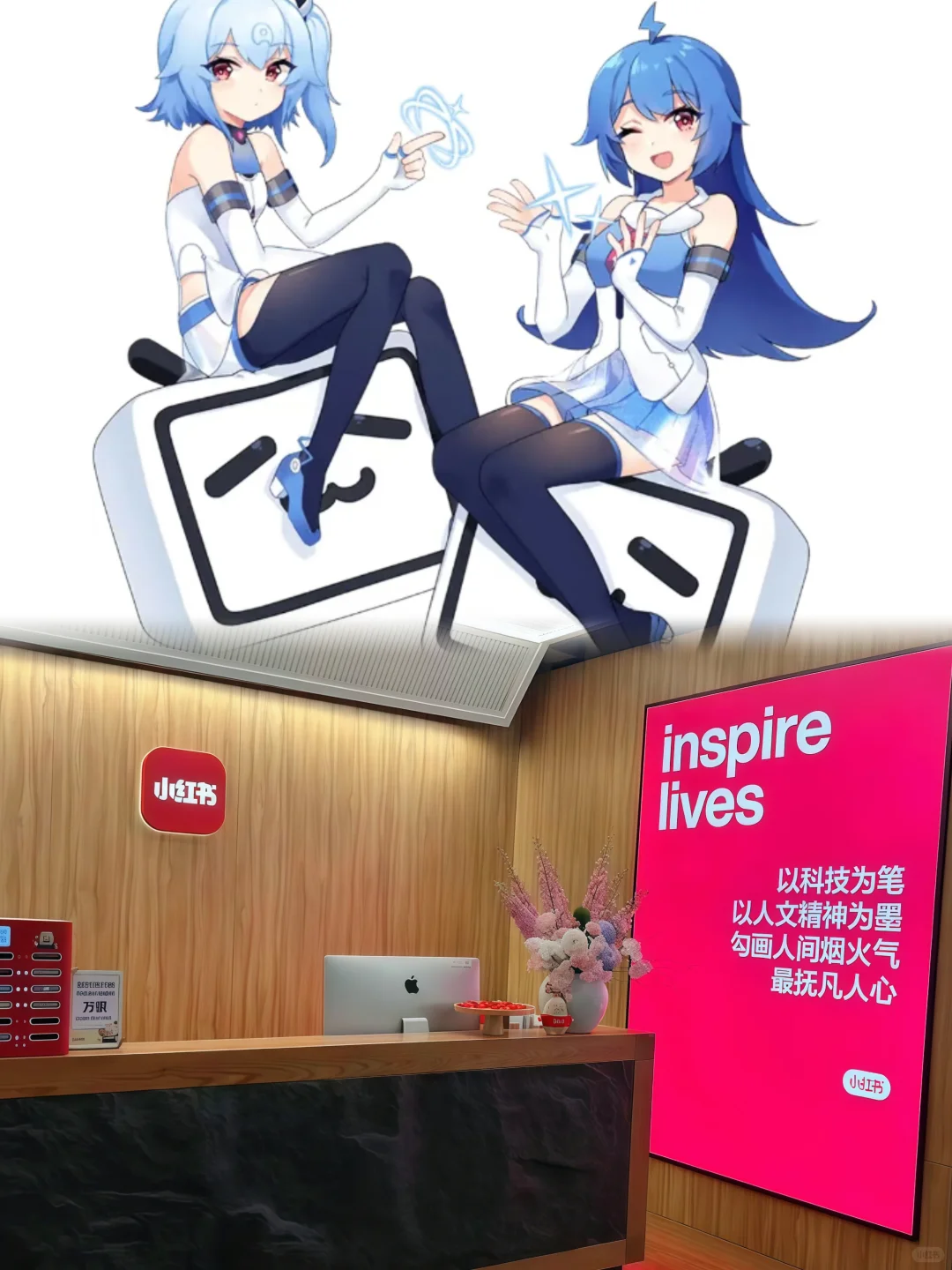 小红书字节B站预约方式!!