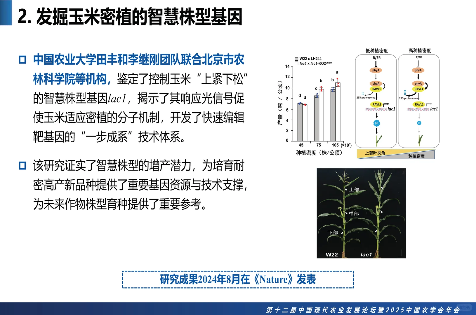 2025中国农业十大科学重大进展