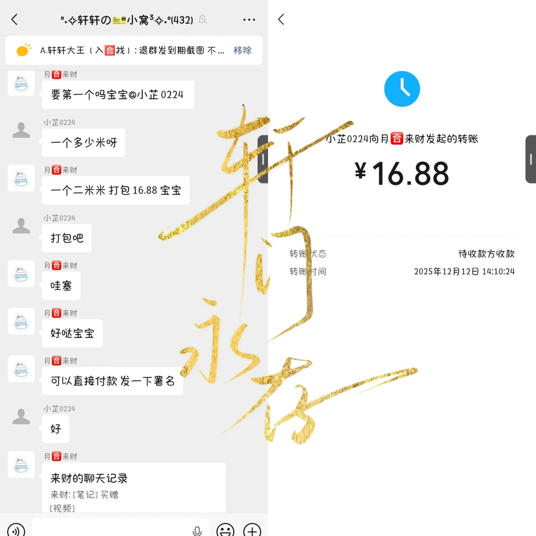今日份打包