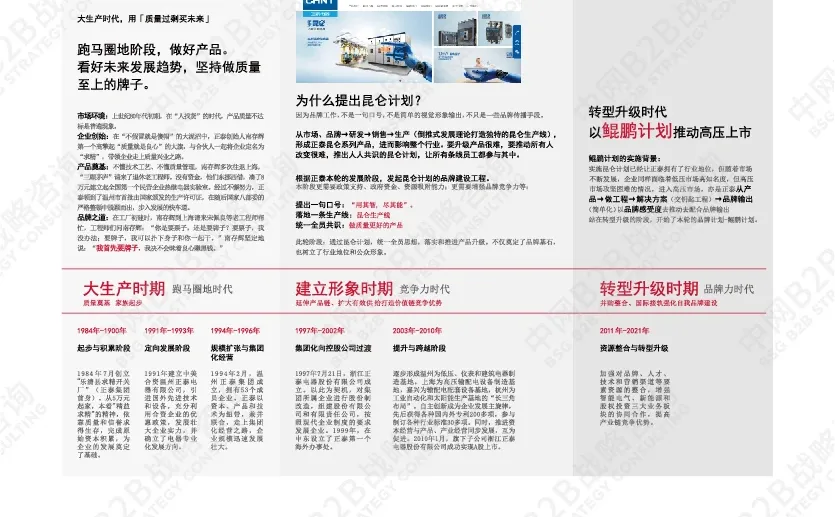 中网B2B战略咨询案例拆解:正泰集团