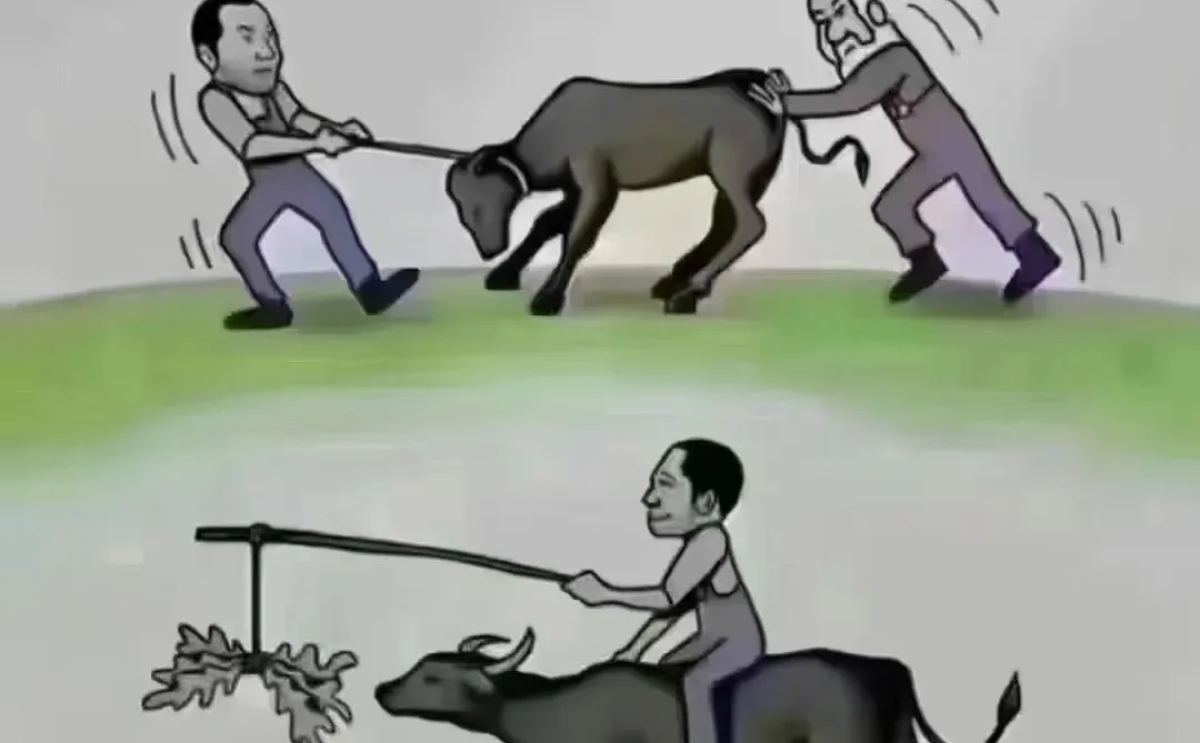 这是一个对趋势认知的时代
