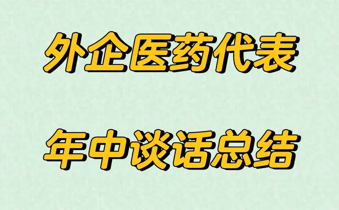 医药外企销售年中谈话总结，框架