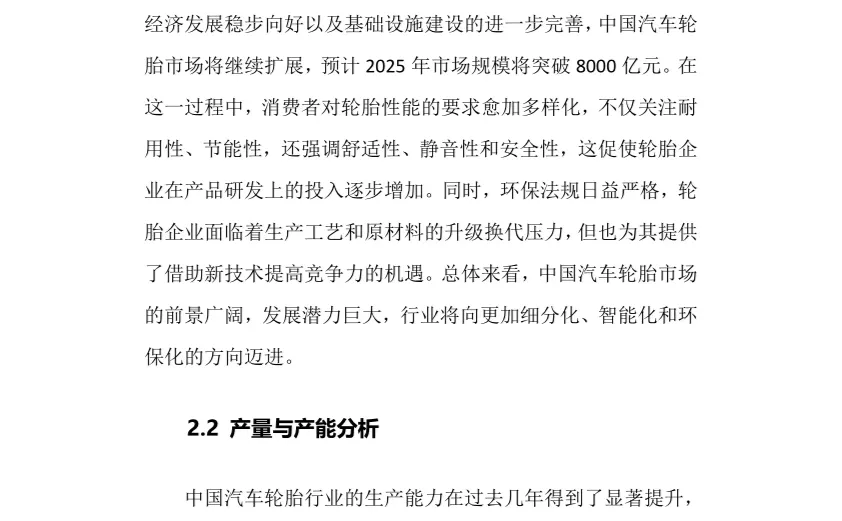 2025年汽车轮胎行业调研分析报告