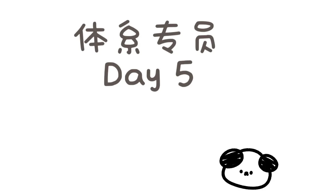 作为体系专员的一天