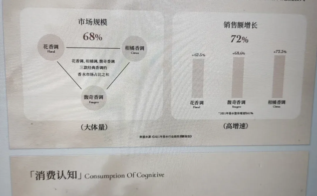 品牌手册分享【free】润培的美学分享