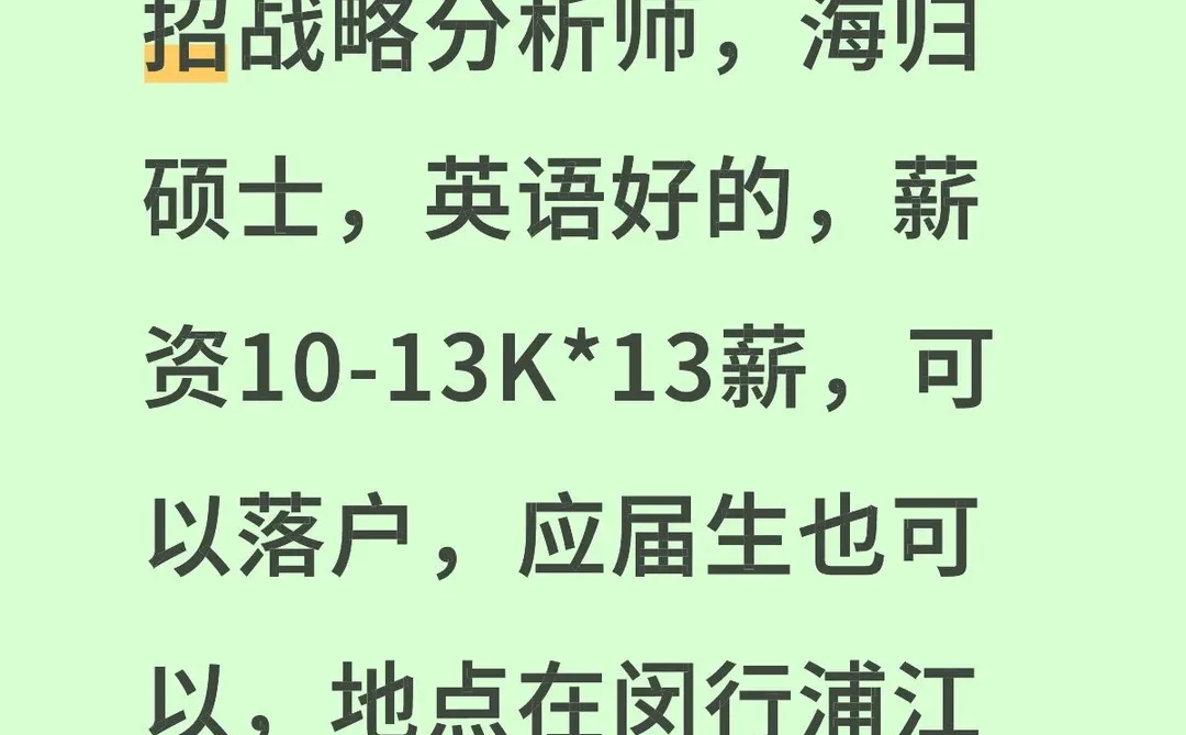 战略分析师
