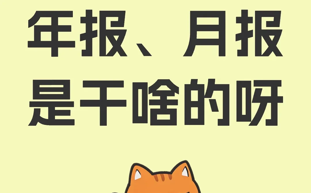 高新火炬报表干啥用