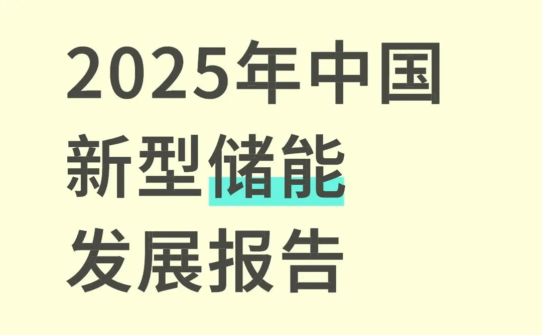 2025年中国新型储能发展报告