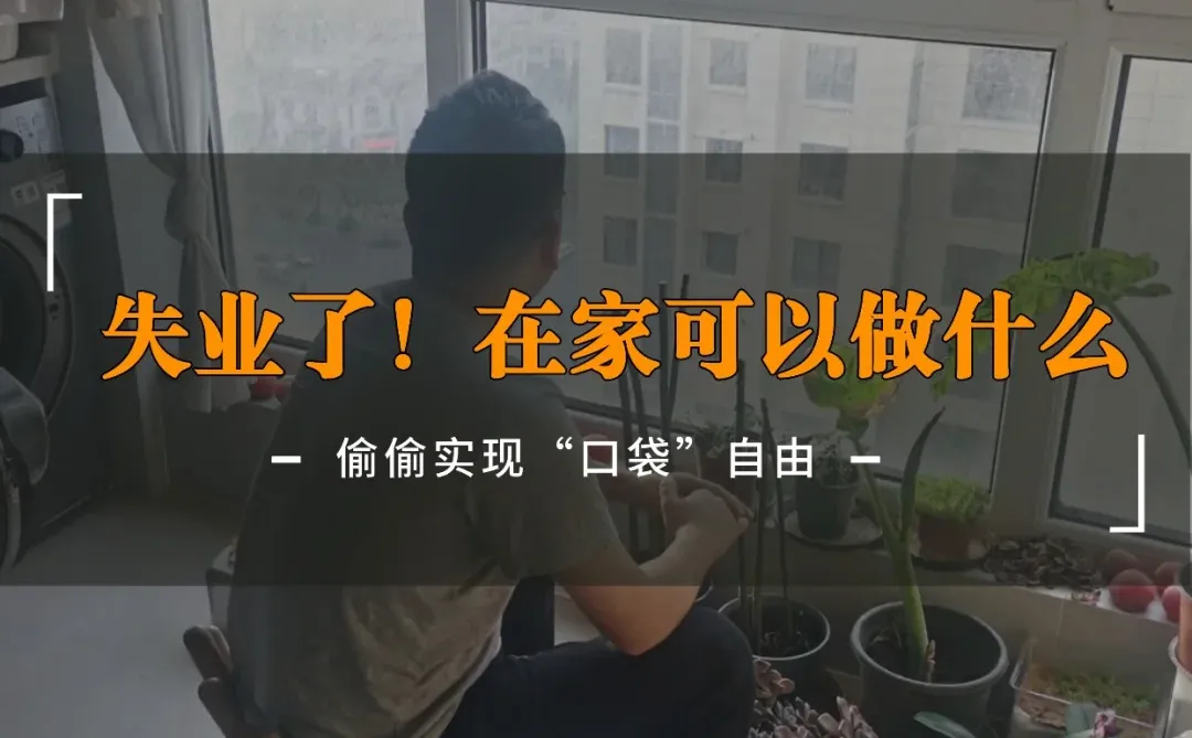 失业了!在家可以做什么?