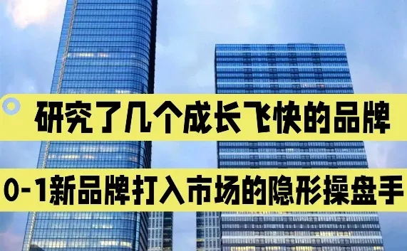 新品牌快速崛起,除了产品力,还需要什么?