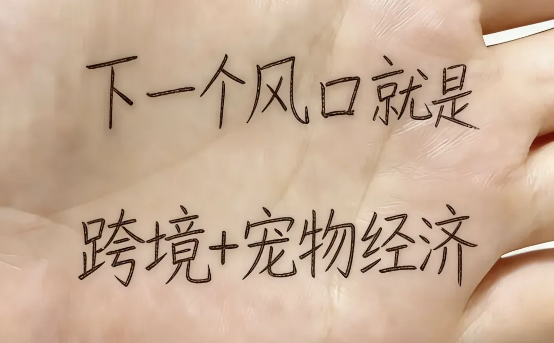 下一个风口就是:跨境+宠物经济