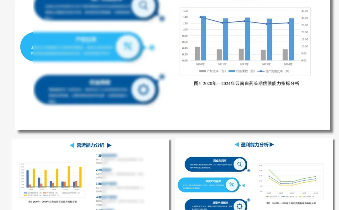 云南白药财务分析PPT