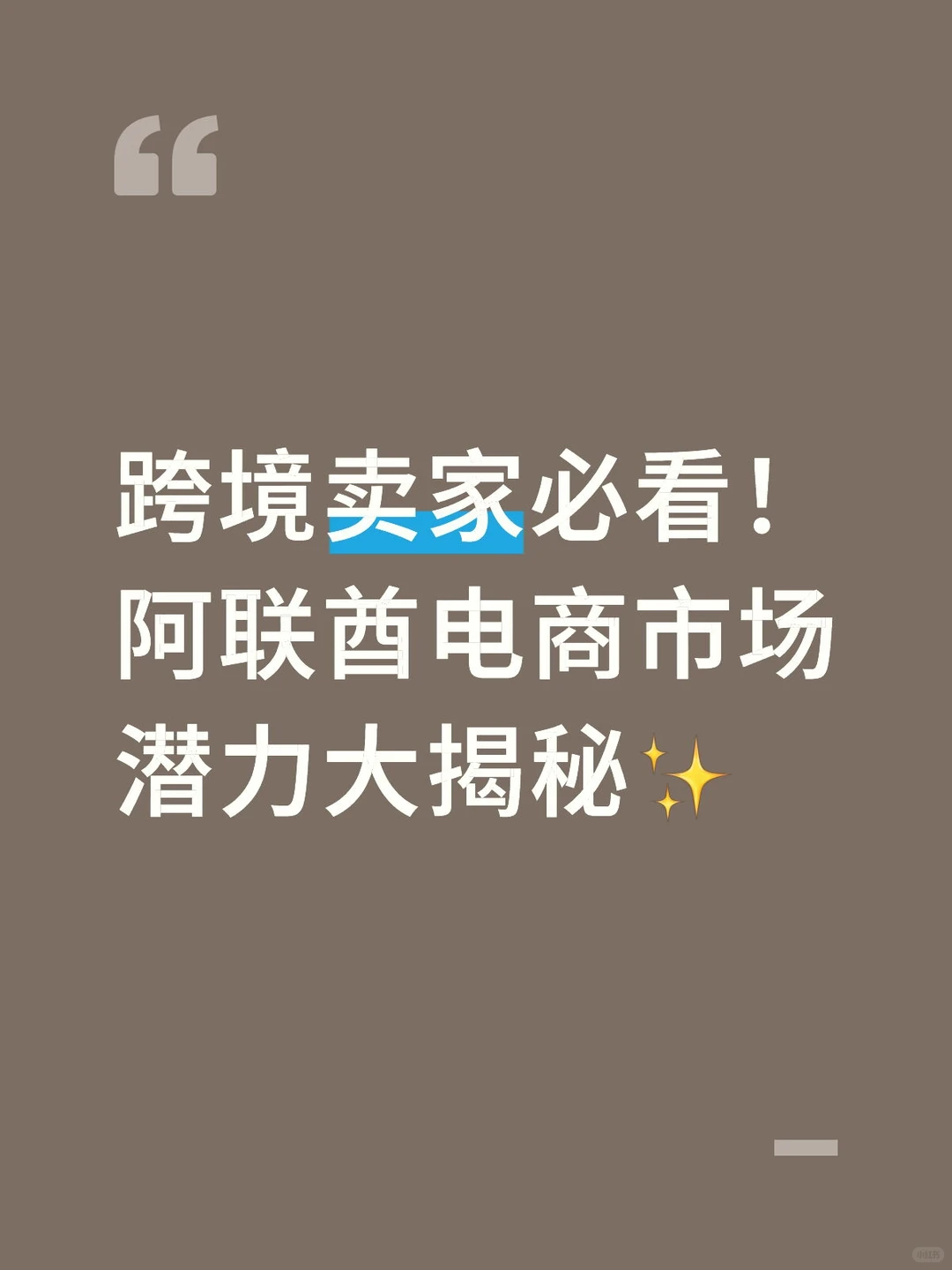 跨境卖家必看!阿联酋电商市场潜力大揭秘✨