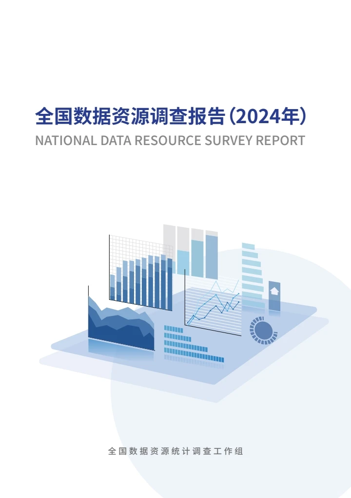 全国数据资源调查报告（2024年）