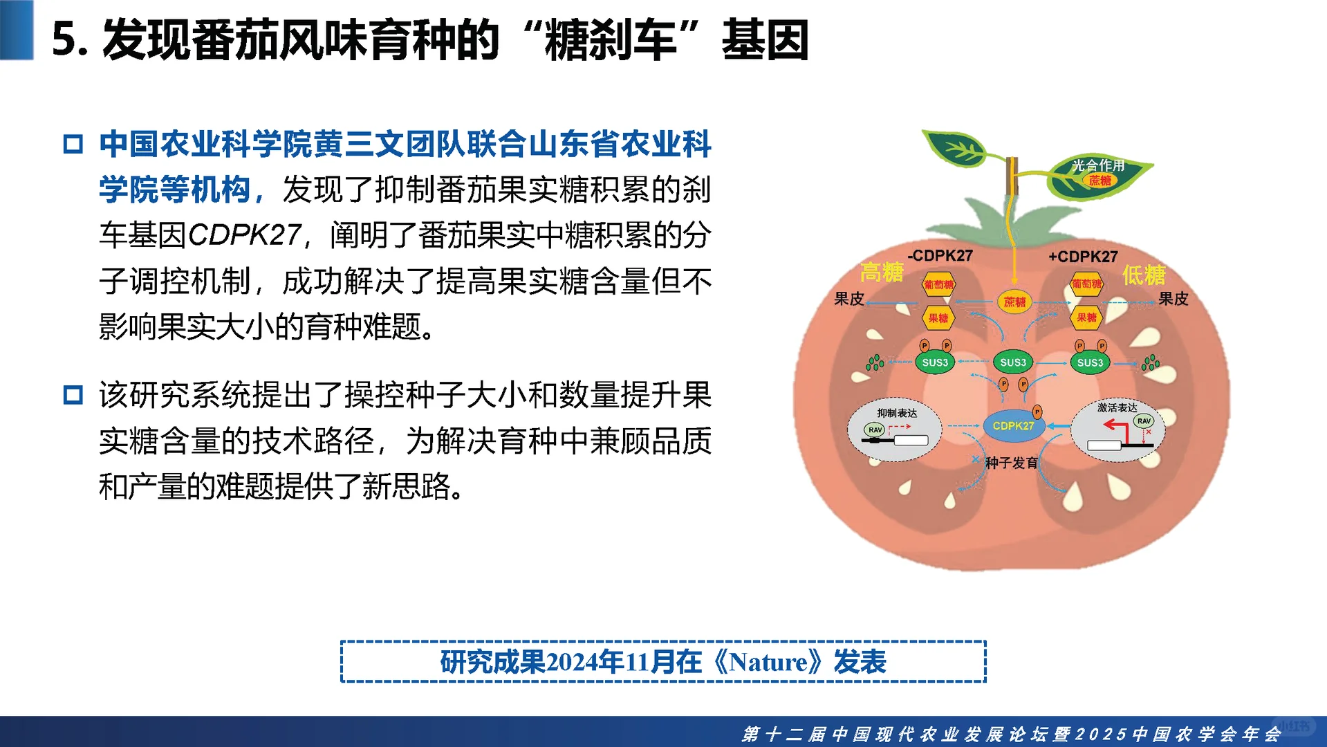 2025中国农业十大科学重大进展