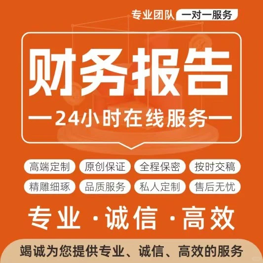 财务报表分析报告word模板上市公司财务总结