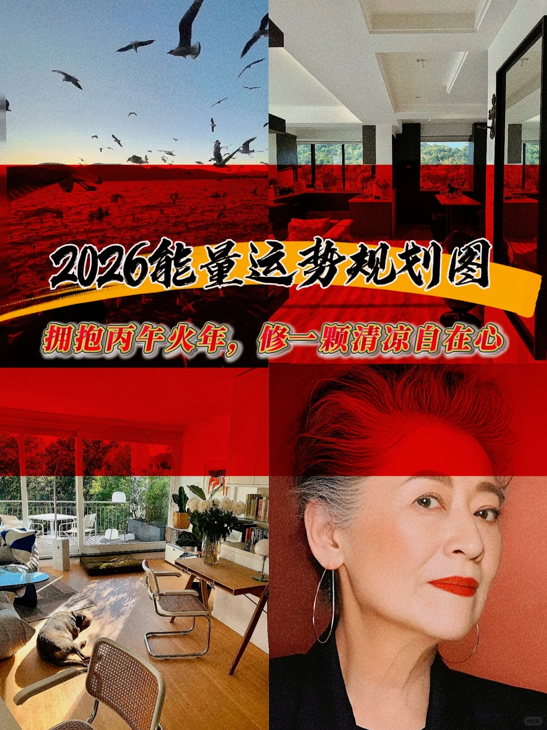 2026丙午火年:在旺盛能量中修一颗清凉心