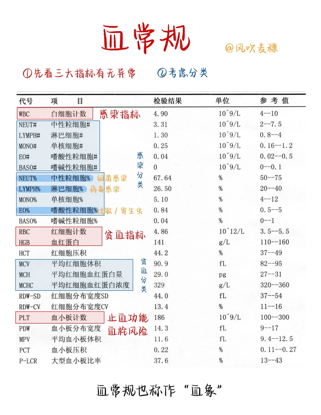 ?医学生笔记| 血常规报告