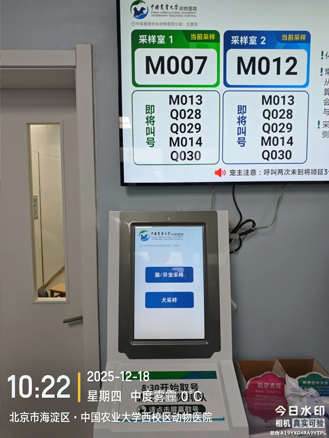中国农业大学动物医院陪诊、代问诊、代办！