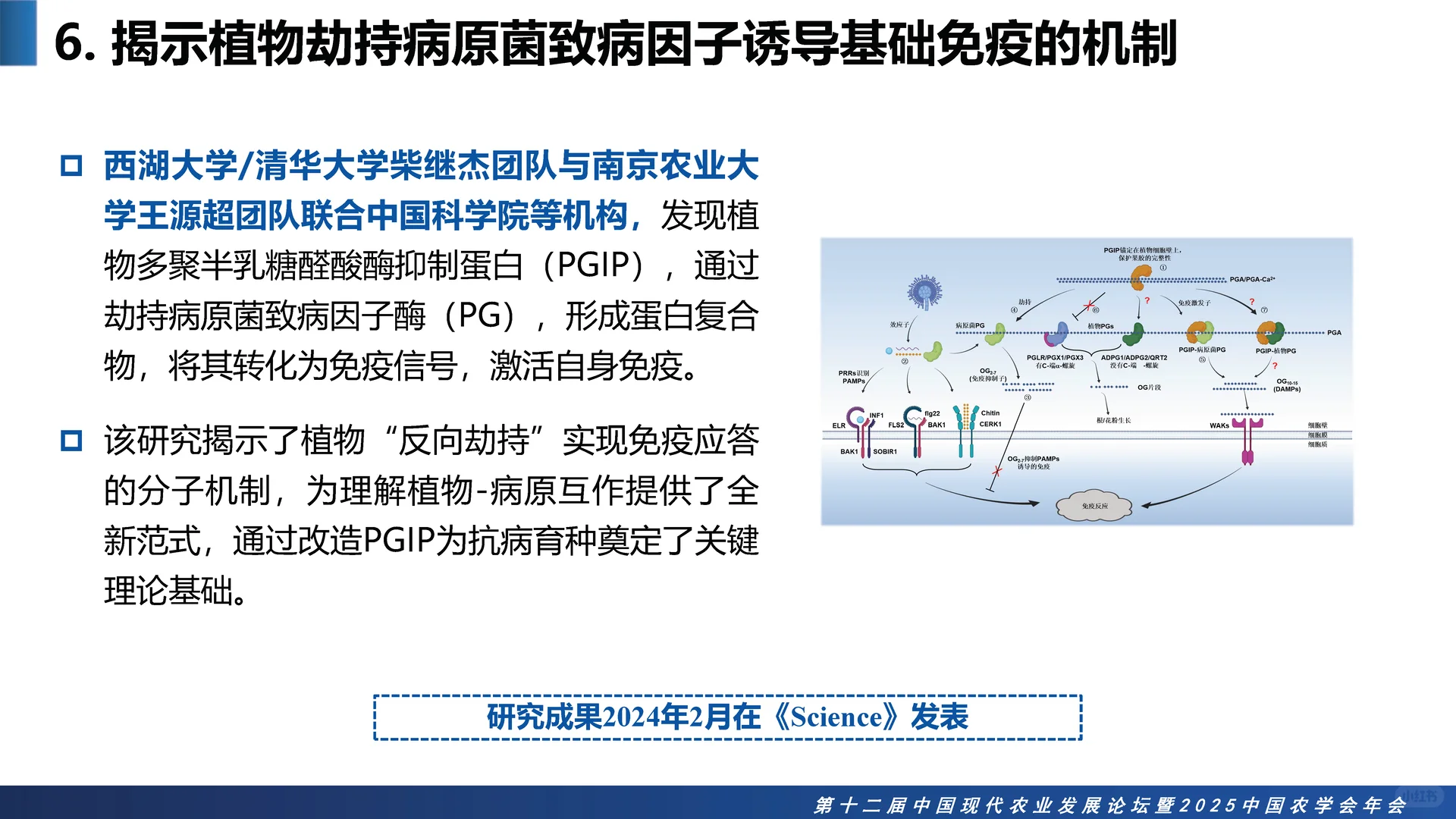 2025中国农业十大科学重大进展