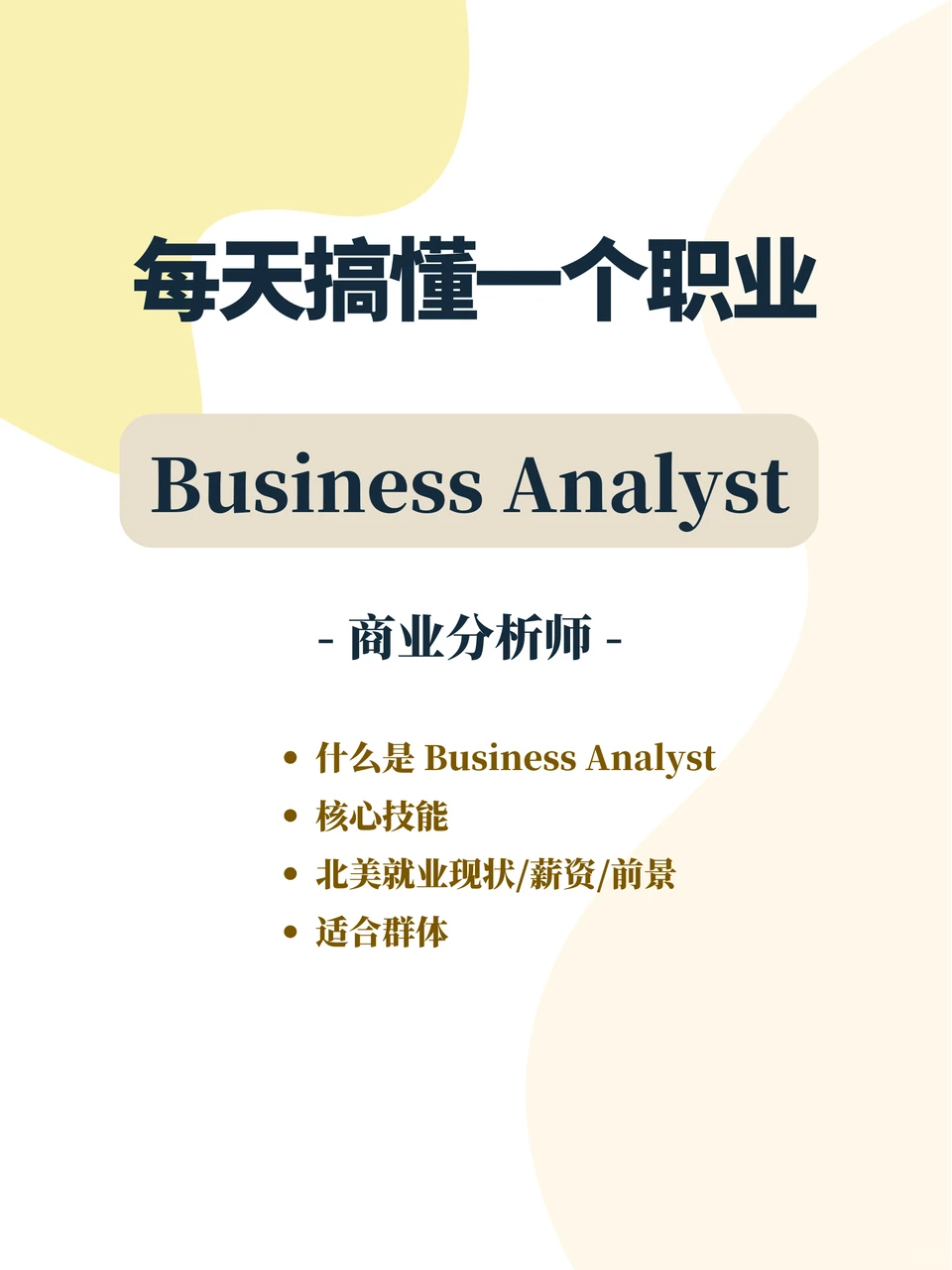每天搞懂一个职业 - Business Analyst