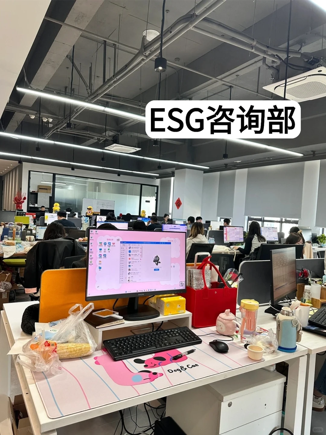 公司新来的ESG女生真是效率天花板啊!