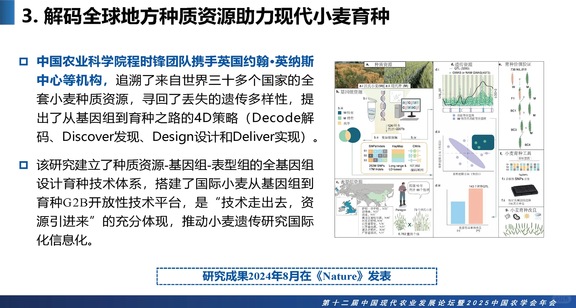 2025中国农业十大科学重大进展