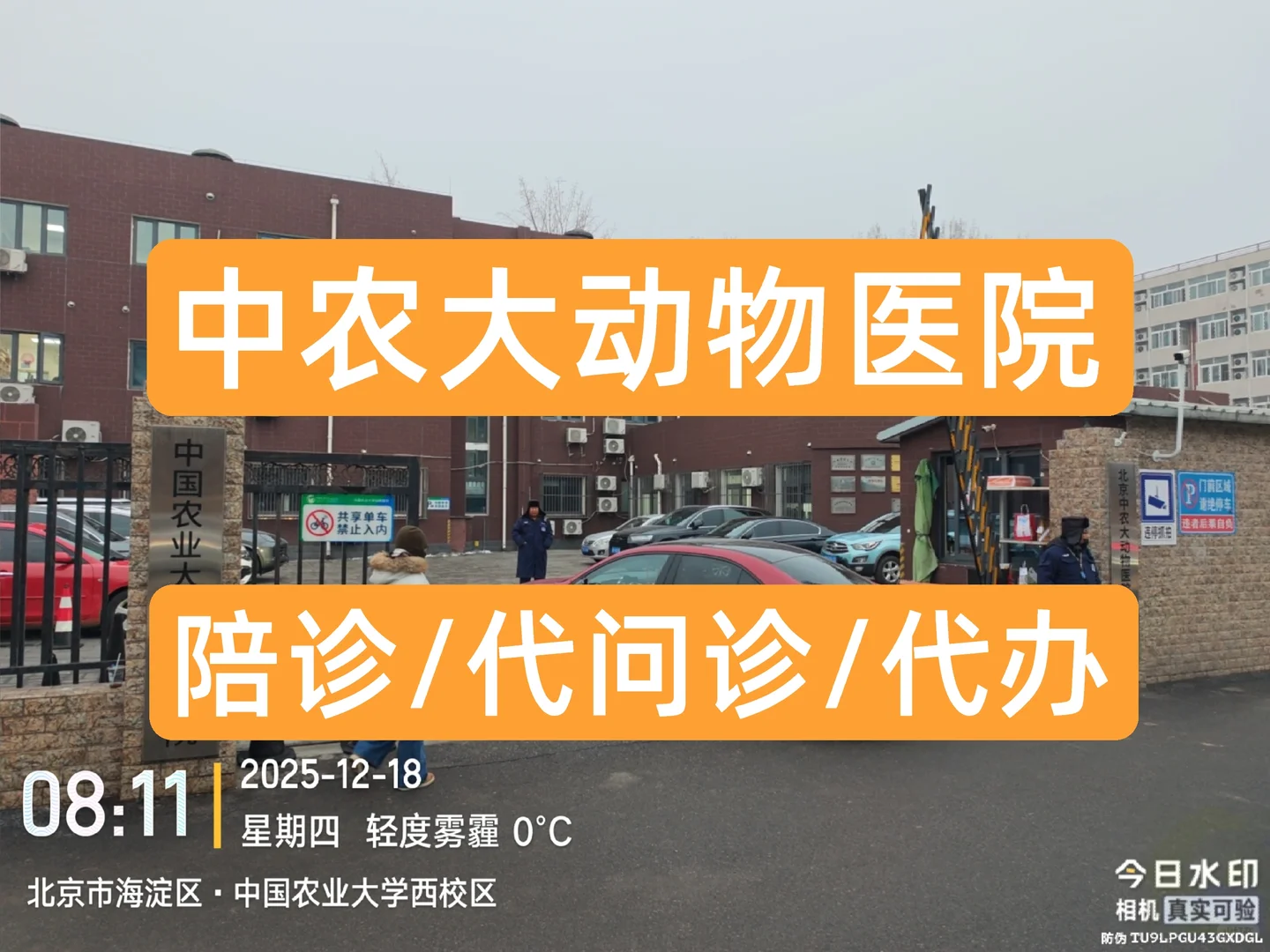 中国农业大学动物医院陪诊、代问诊、代办！