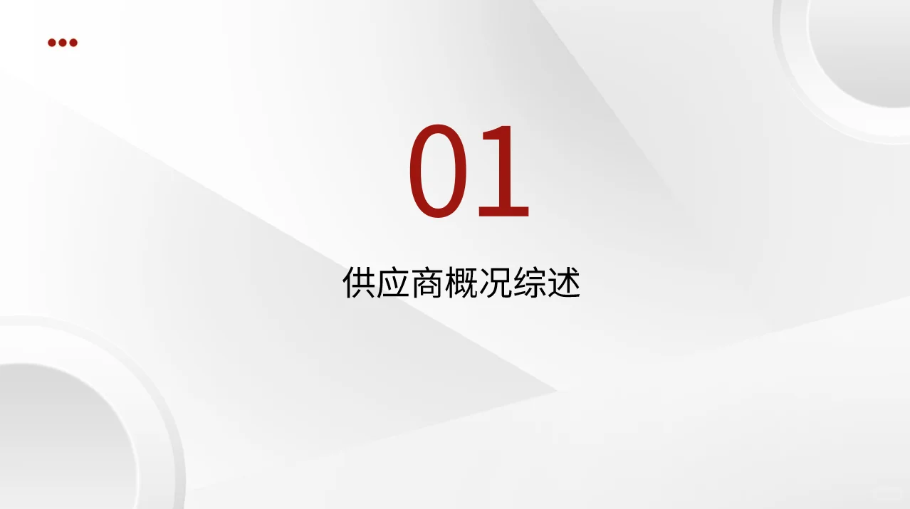 供应商年度状况分析报告