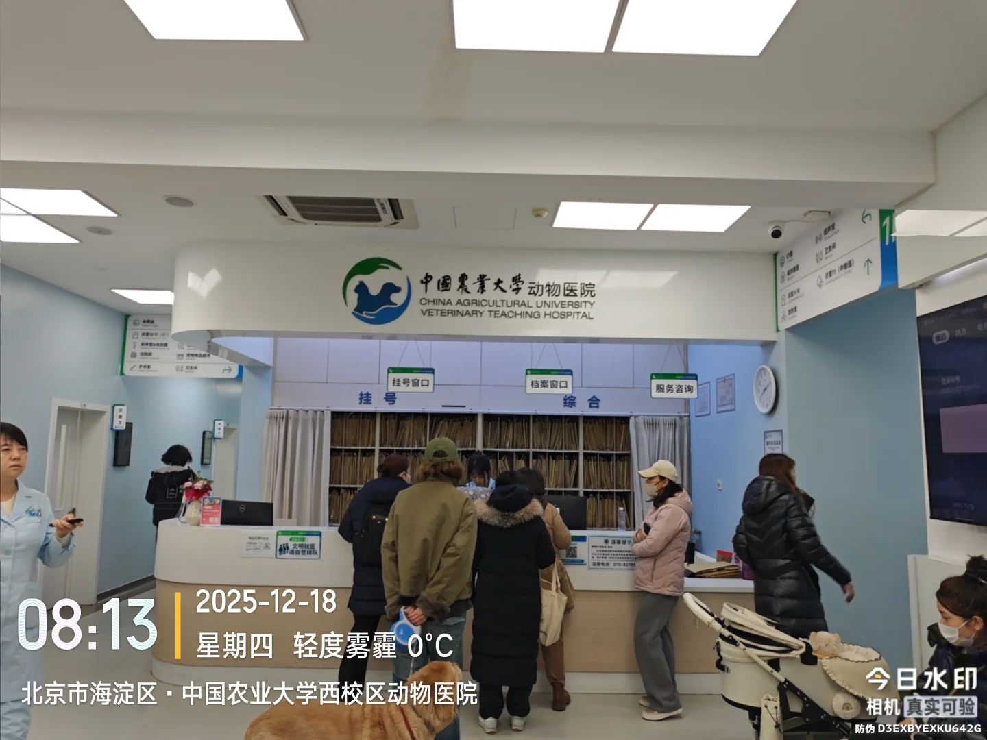中国农业大学动物医院陪诊、代问诊、代办！