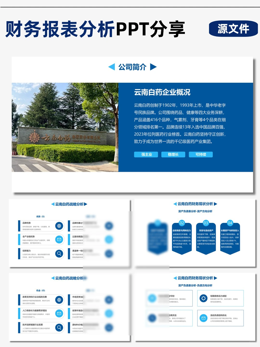 云南白药财务分析PPT