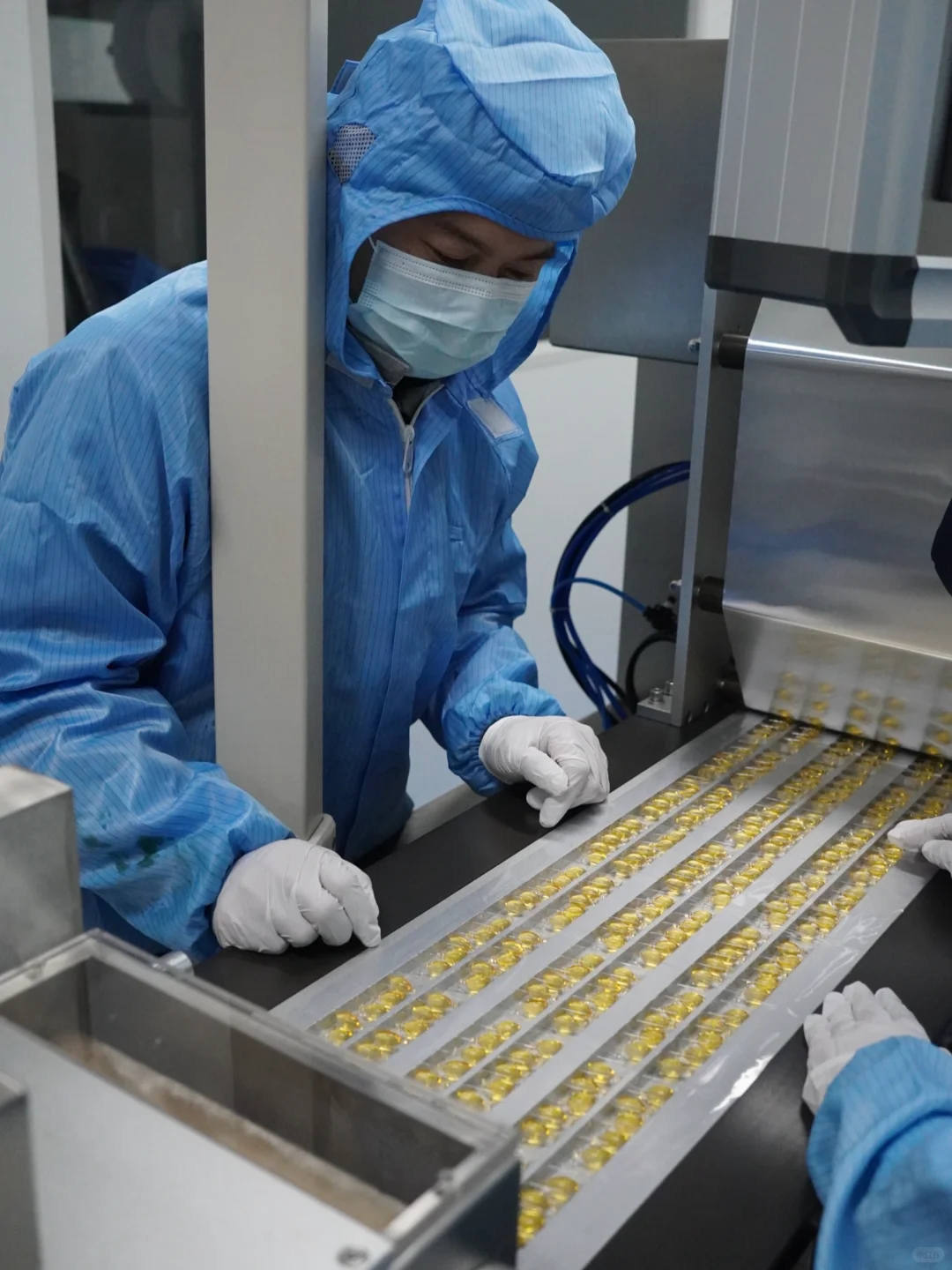 8%高浓度玫瑰油胶囊生产记录和检测报告