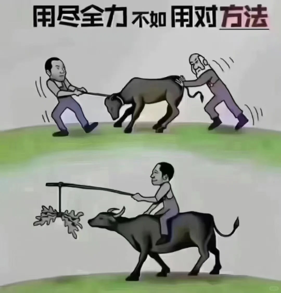 这是一个对趋势认知的时代