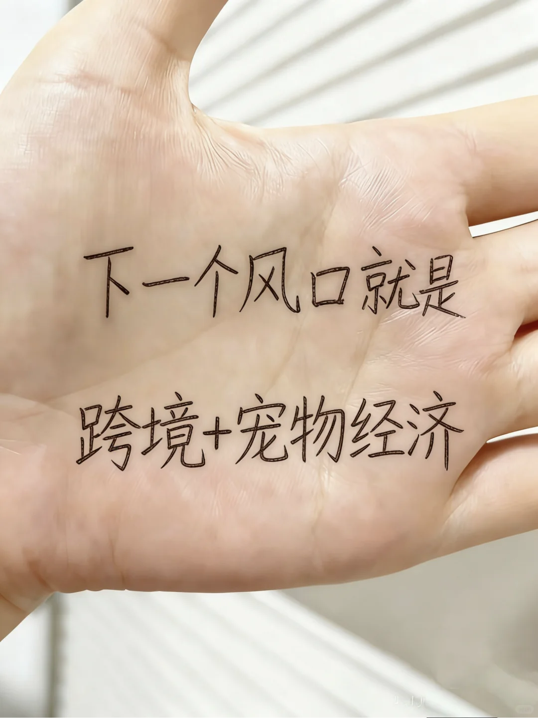 下一个风口就是:跨境+宠物经济